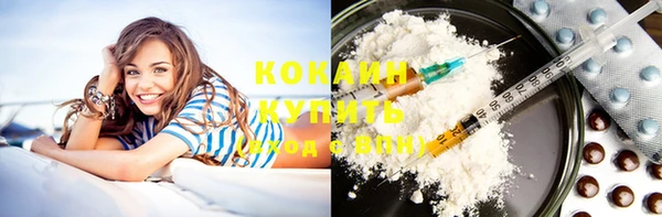 PSILOCYBIN Вязники
