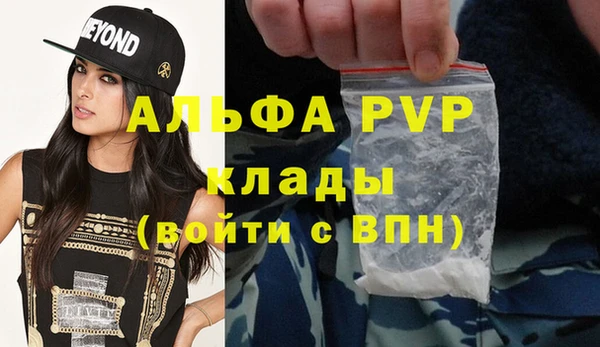 PSILOCYBIN Вязники