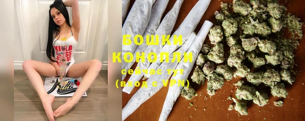круглые Вяземский