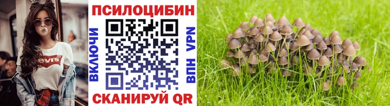 Псилоцибиновые грибы Psilocybe  даркнет наркотические препараты  Лобня 